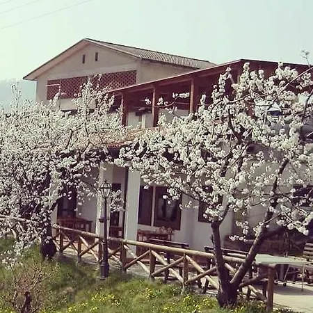 Agriturismo Al Ciliegio * Marostica