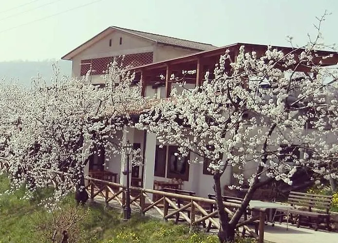 Agriturismo Al Ciliegio * Marostica