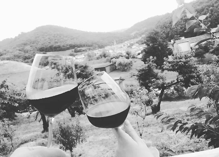 Agriturismo Al Ciliegio Lantgård